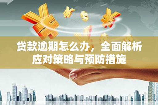 盐田贷款逾期怎么办，全面解析应对策略与预防措施