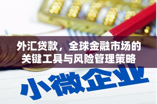 盐田外汇贷款，全球金融市场的关键工具与风险管理策略