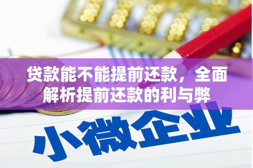 盐田贷款能不能提前还款，全面解析提前还款的利与弊