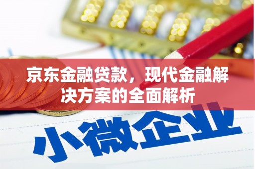 盐田京东金融贷款，现代金融解决方案的全面解析