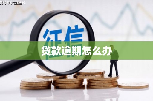 盐田贷款逾期怎么办