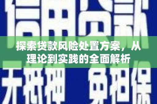 盐田探索贷款风险处置方案，从理论到实践的全面解析