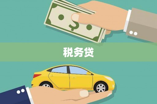 盐田税务贷