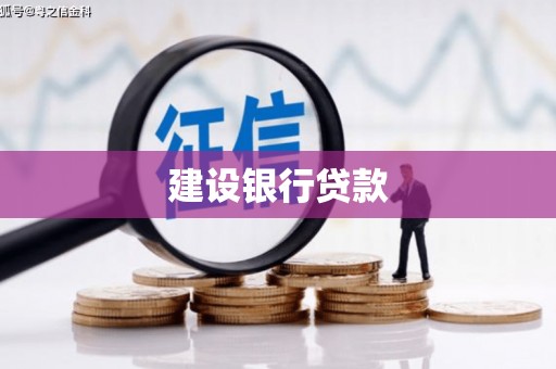 盐田建设银行贷款