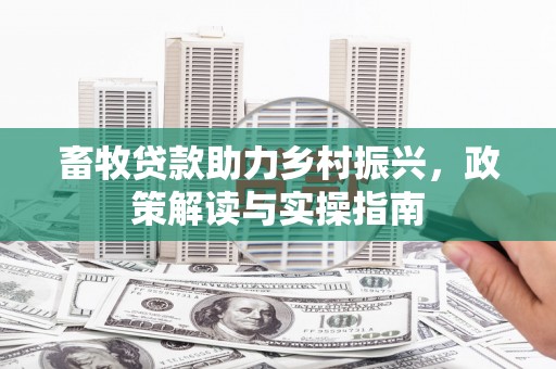 盐田畜牧贷款助力乡村振兴，政策解读与实操指南