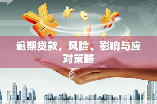盐田逾期贷款，风险、影响与应对策略