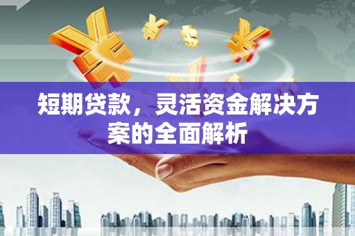 盐田短期贷款，灵活资金解决方案的全面解析