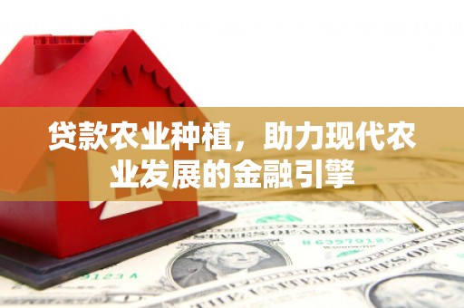 盐田贷款农业种植，助力现代农业发展的金融引擎