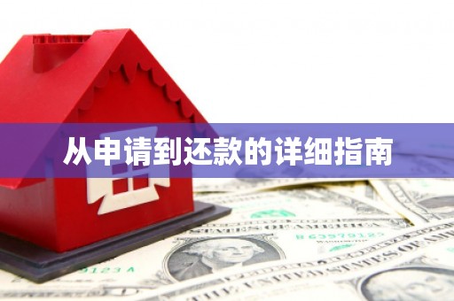 盐田从申请到还款的详细指南