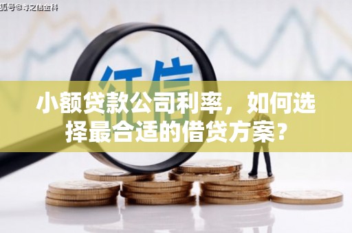 盐田小额贷款公司利率，如何选择最合适的借贷方案？