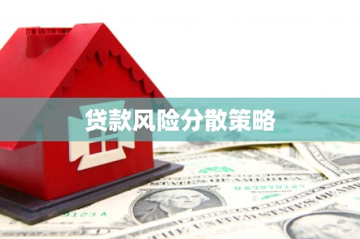 盐田贷款风险分散策略