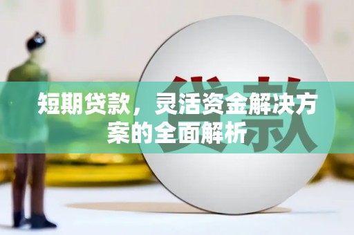 盐田短期贷款，灵活资金解决方案的全面解析