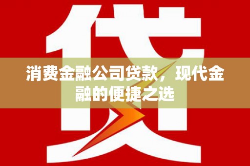 盐田消费金融公司贷款，现代金融的便捷之选