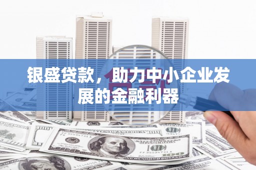 盐田银盛贷款，助力中小企业发展的金融利器