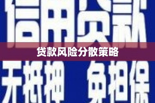盐田贷款风险分散策略