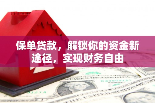盐田保单贷款，解锁你的资金新途径，实现财务自由