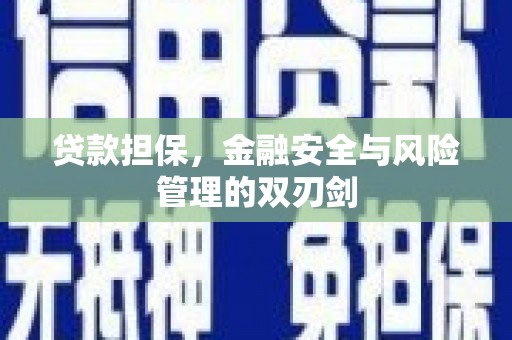 盐田贷款担保，金融安全与风险管理的双刃剑