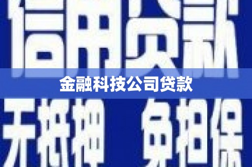 盐田金融科技公司贷款