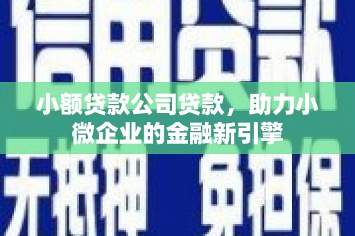 盐田小额贷款公司贷款，助力小微企业的金融新引擎
