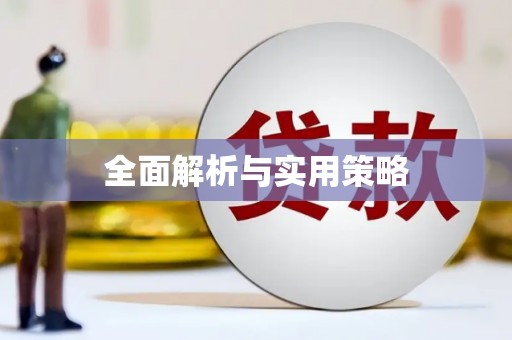 盐田全面解析与实用策略