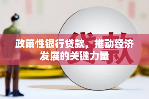 盐田政策性银行贷款，推动经济发展的关键力量