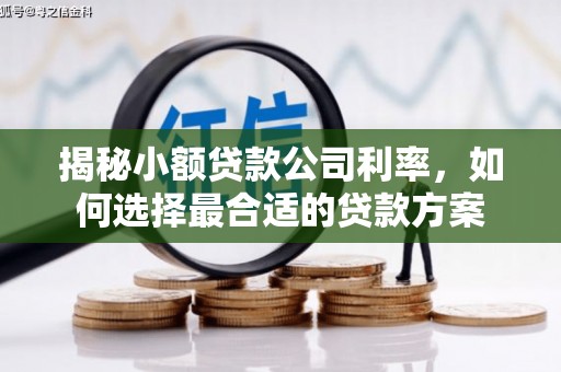 盐田揭秘小额贷款公司利率，如何选择最合适的贷款方案