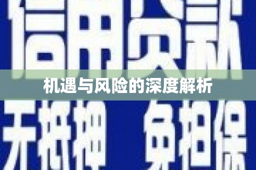 盐田机遇与风险的深度解析