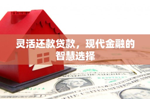 盐田灵活还款贷款，现代金融的智慧选择