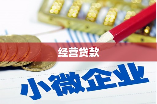 盐田经营贷款