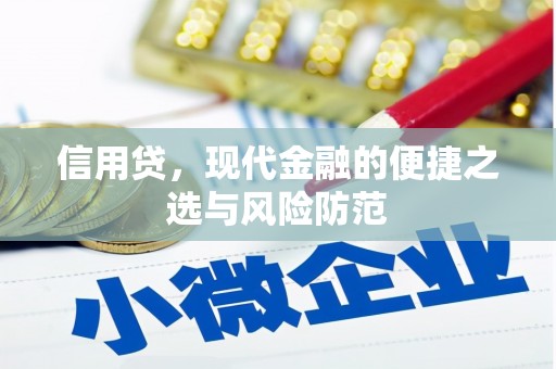 盐田信用贷，现代金融的便捷之选与风险防范