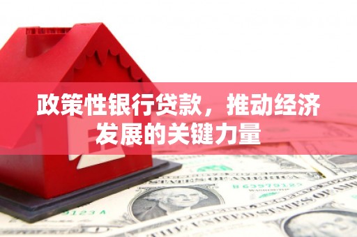 盐田政策性银行贷款，推动经济发展的关键力量