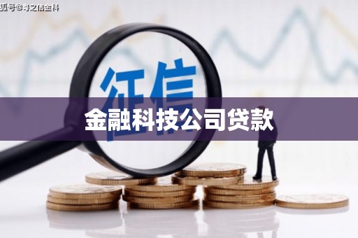 盐田金融科技公司贷款