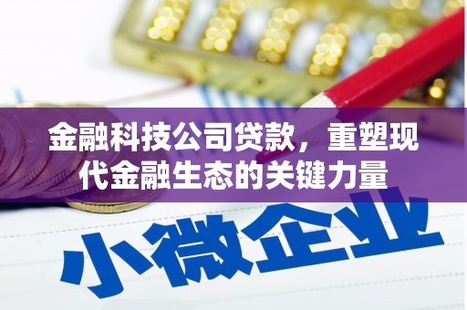 盐田金融科技公司贷款，重塑现代金融生态的关键力量