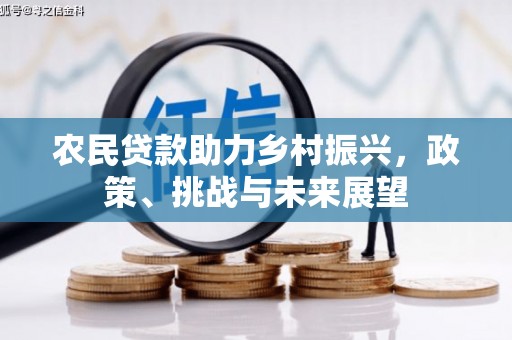 盐田农民贷款助力乡村振兴，政策、挑战与未来展望