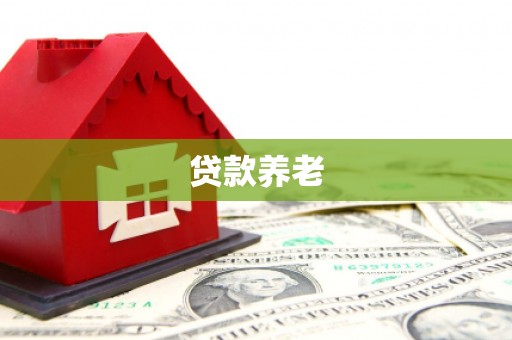 盐田贷款养老