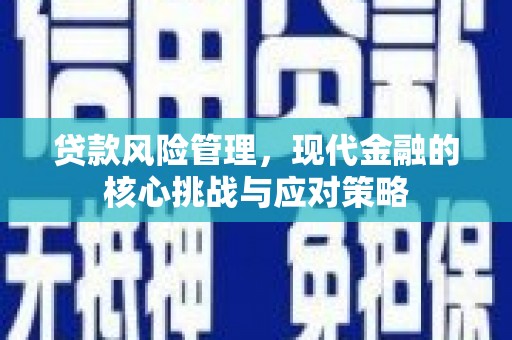 盐田贷款风险管理，现代金融的核心挑战与应对策略