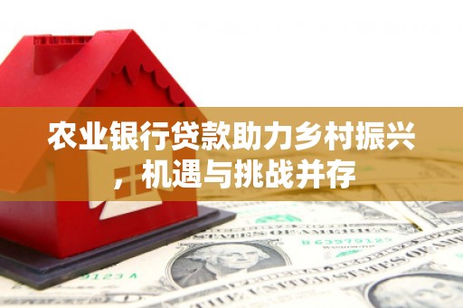 盐田农业银行贷款助力乡村振兴，机遇与挑战并存
