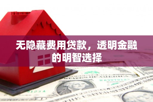 盐田无隐藏费用贷款，透明金融的明智选择