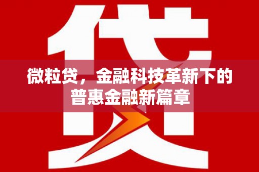 盐田微粒贷，金融科技革新下的普惠金融新篇章