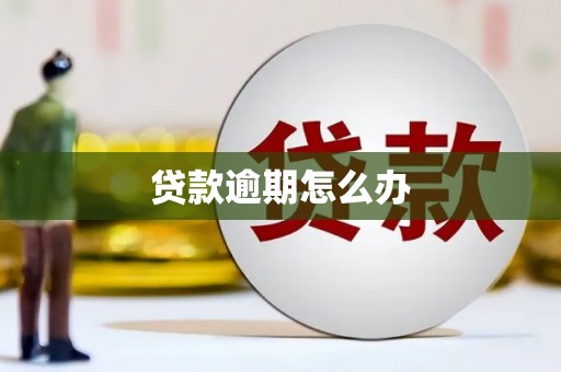 盐田贷款逾期怎么办