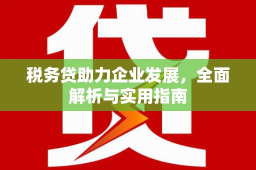 盐田税务贷助力企业发展，全面解析与实用指南