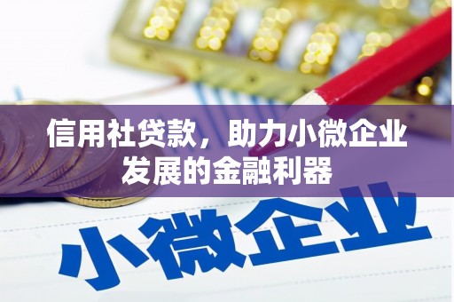 盐田信用社贷款，助力小微企业发展的金融利器