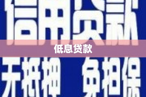 盐田低息贷款