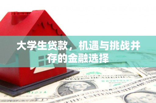 盐田大学生贷款，机遇与挑战并存的金融选择