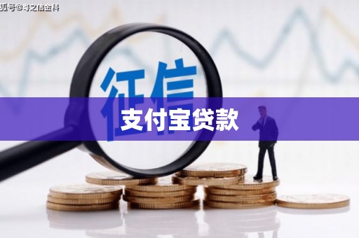 盐田支付宝贷款