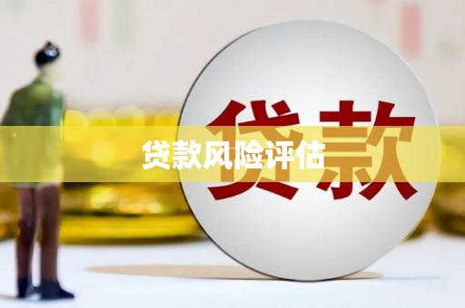 盐田贷款风险评估