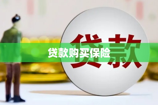盐田贷款购买保险