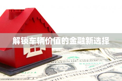 盐田解锁车辆价值的金融新选择