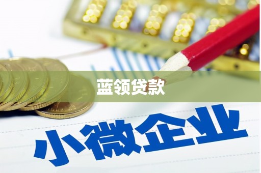 盐田蓝领贷款