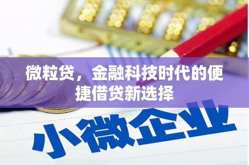 盐田微粒贷，金融科技时代的便捷借贷新选择